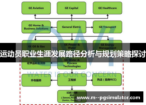 运动员职业生涯发展路径分析与规划策略探讨