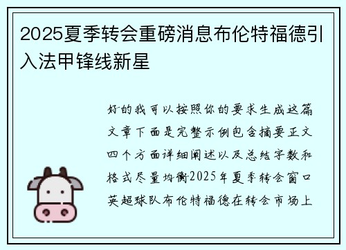 2025夏季转会重磅消息布伦特福德引入法甲锋线新星